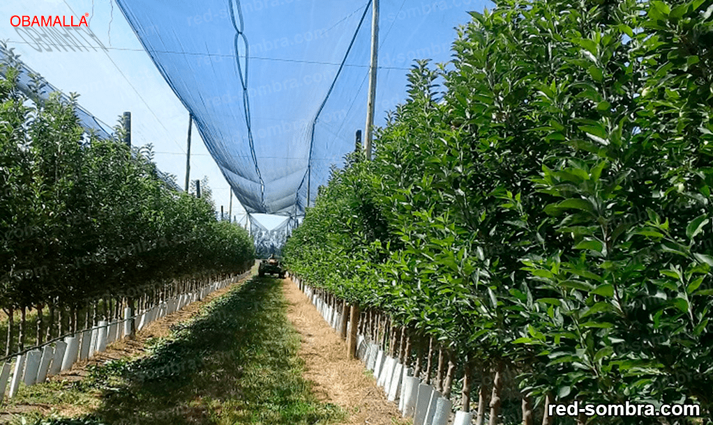 Mallas de sombreado  para el cultivo 